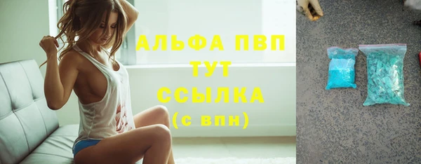 индика Бабаево