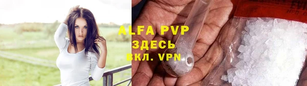 гидра Ахтубинск