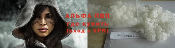 эйфоретик Михайлов
