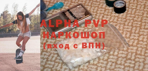 индика Бабаево