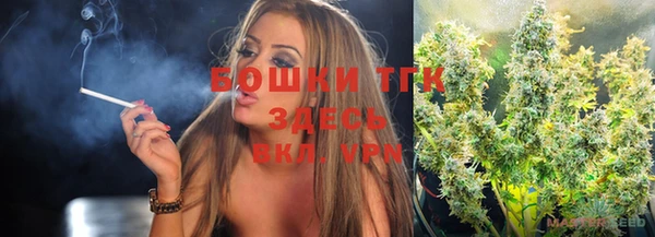 apvp Аша