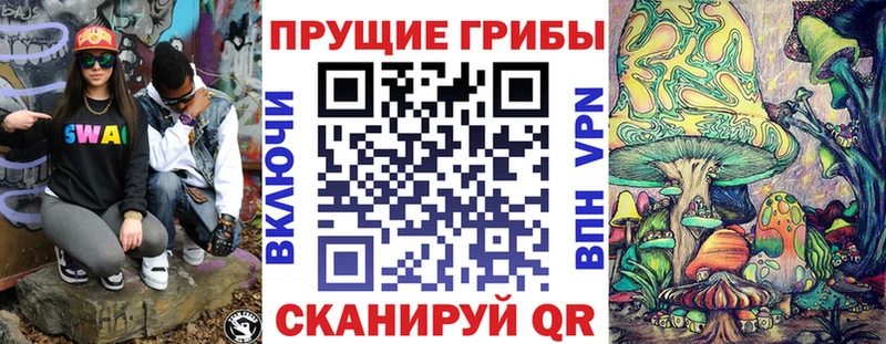 наркота  Правдинск  Галлюциногенные грибы GOLDEN TEACHER 
